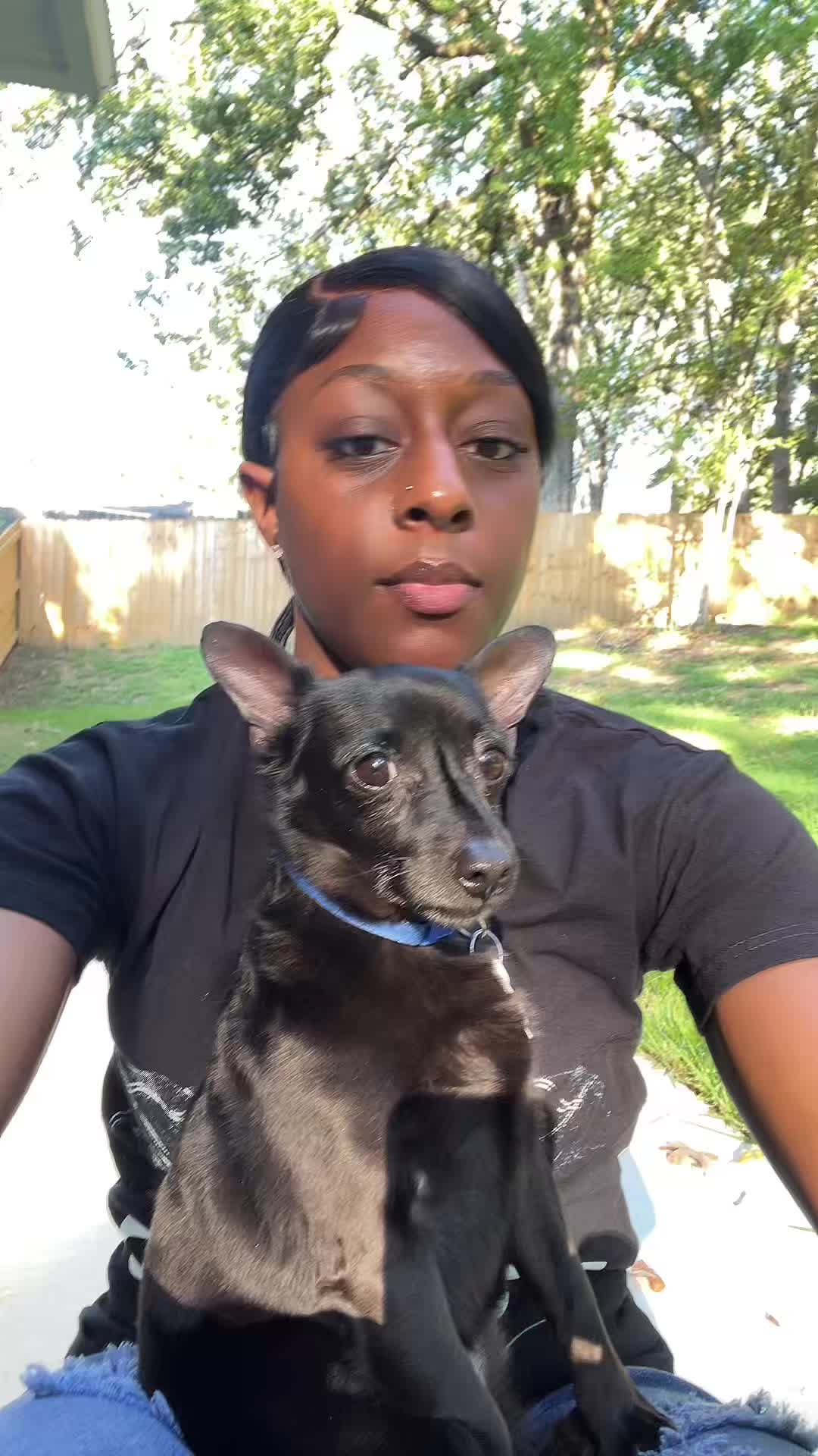 @Blackjack_Chihuahua