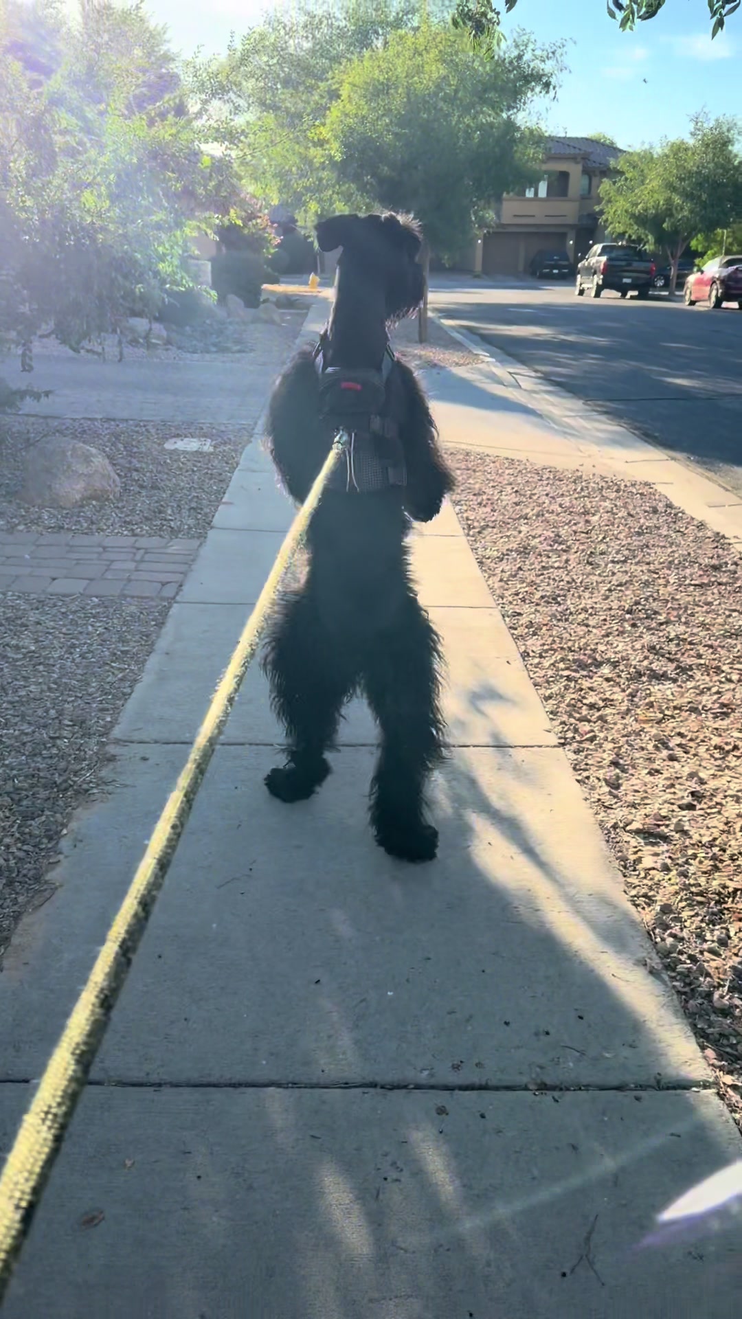 @Fiona Walks