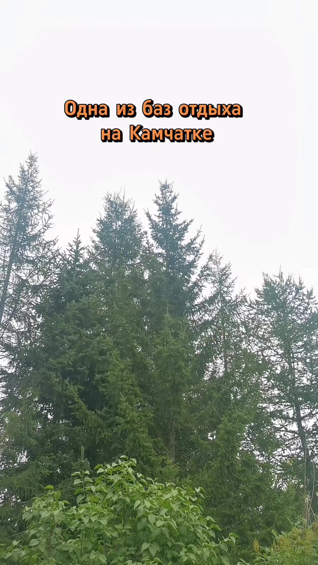 @Александра Лова
