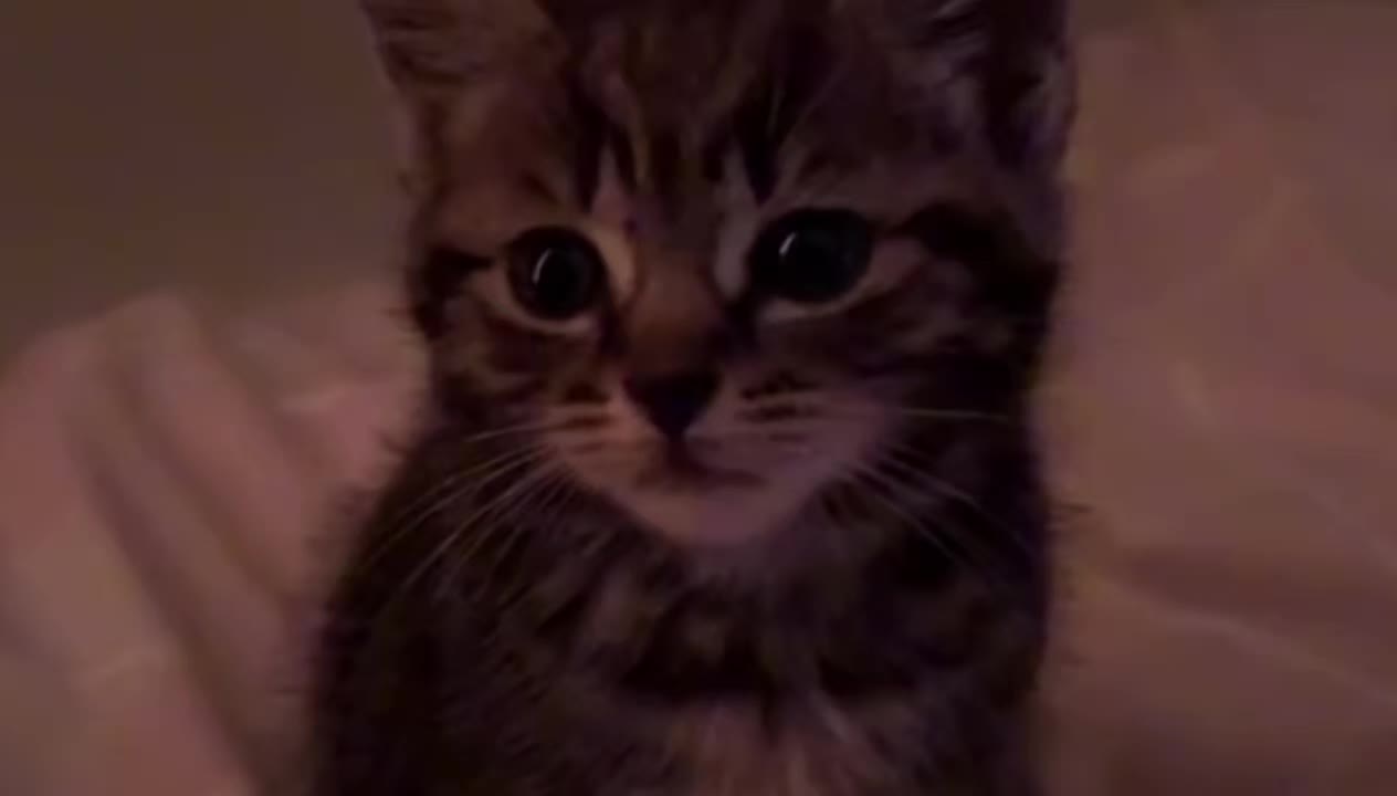 @Мерьем