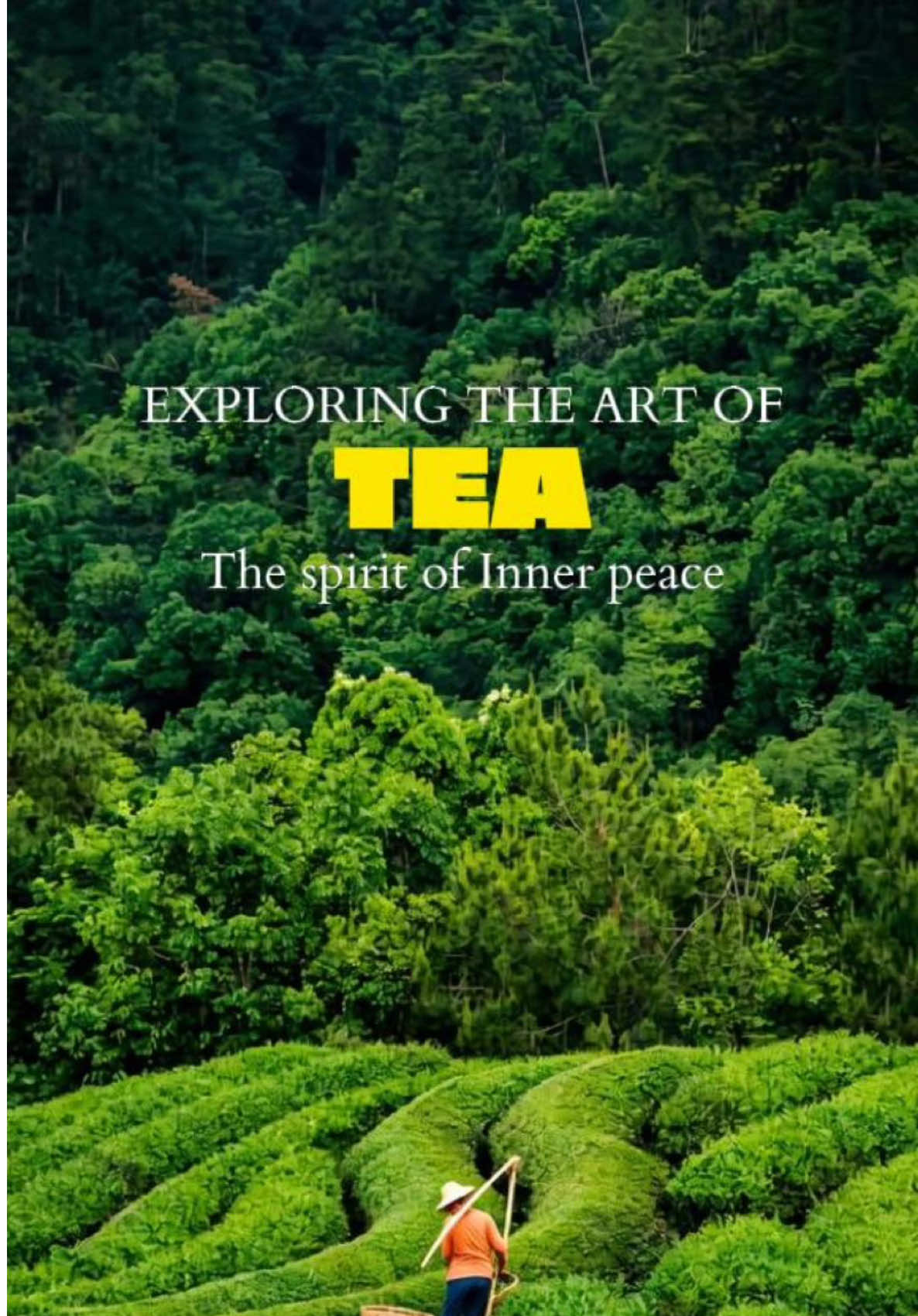 @youyouxing.travel