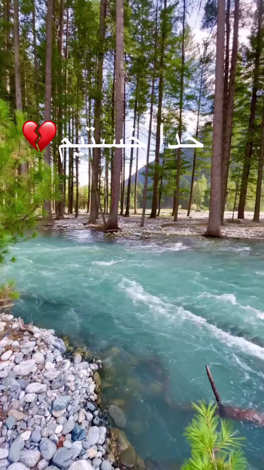 @بهار جهان 🌸
