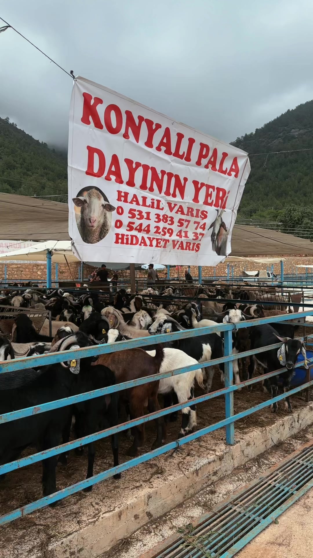 @☞ Halil varış ☜