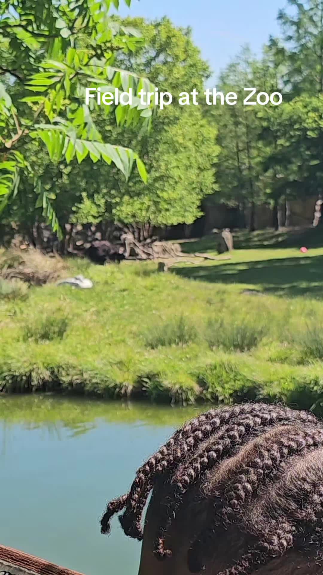 @Natural Mama