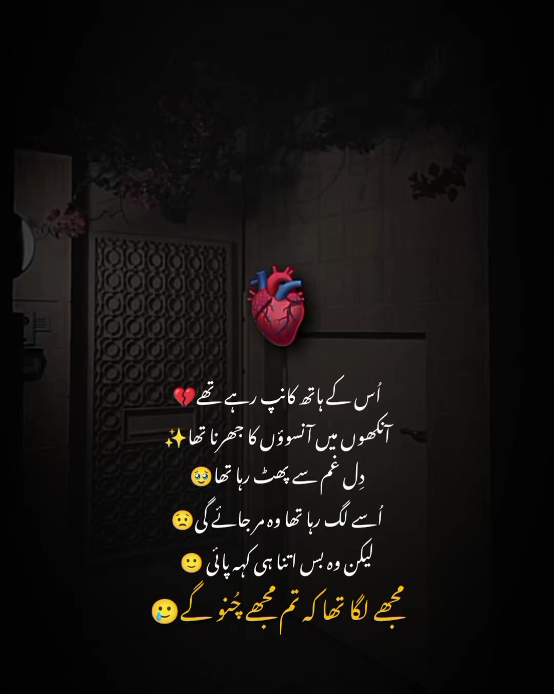 @MrS ArSaLaN♥️