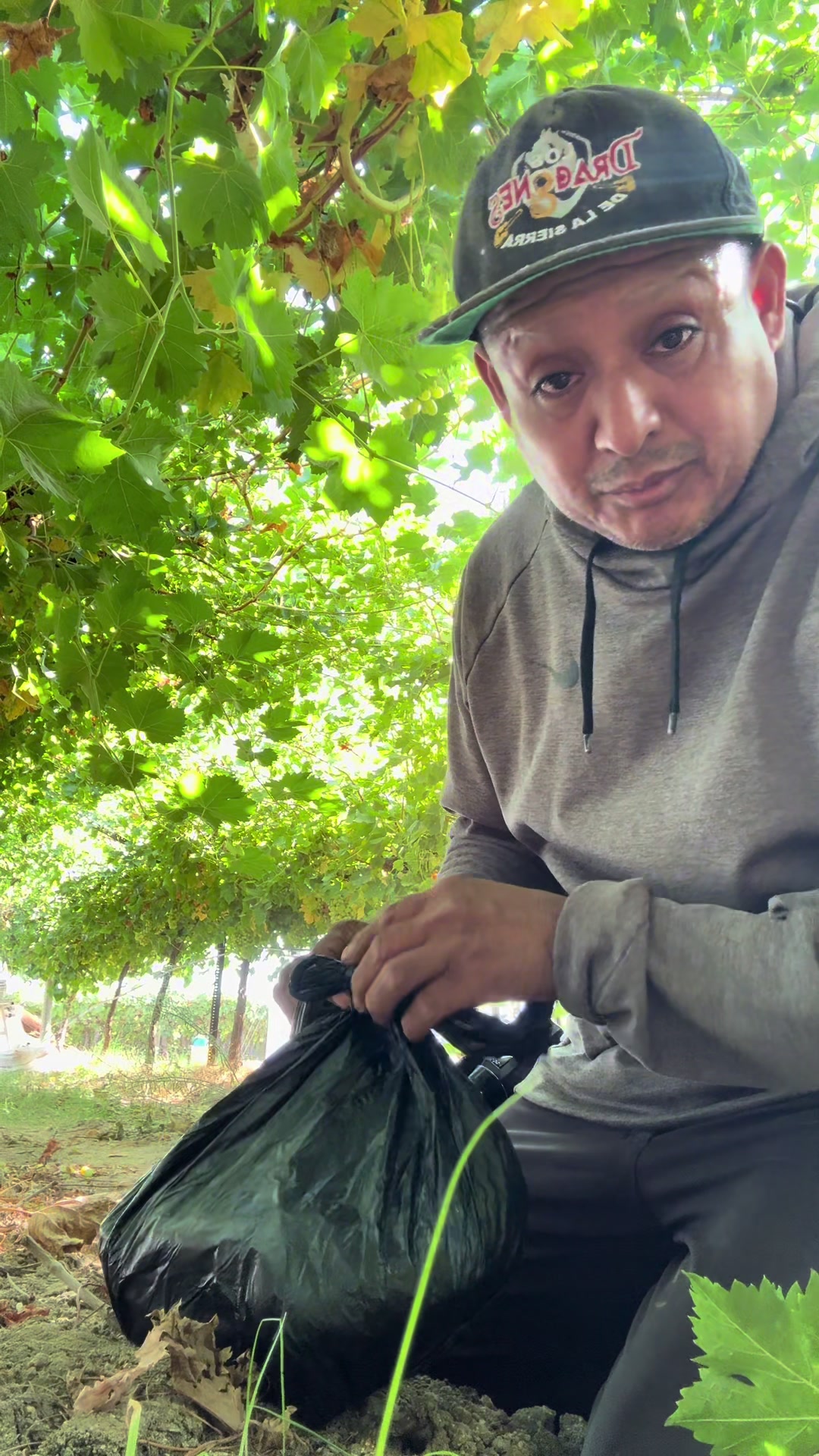 @🎤🐸chiquilin Martínez Vlog🍇