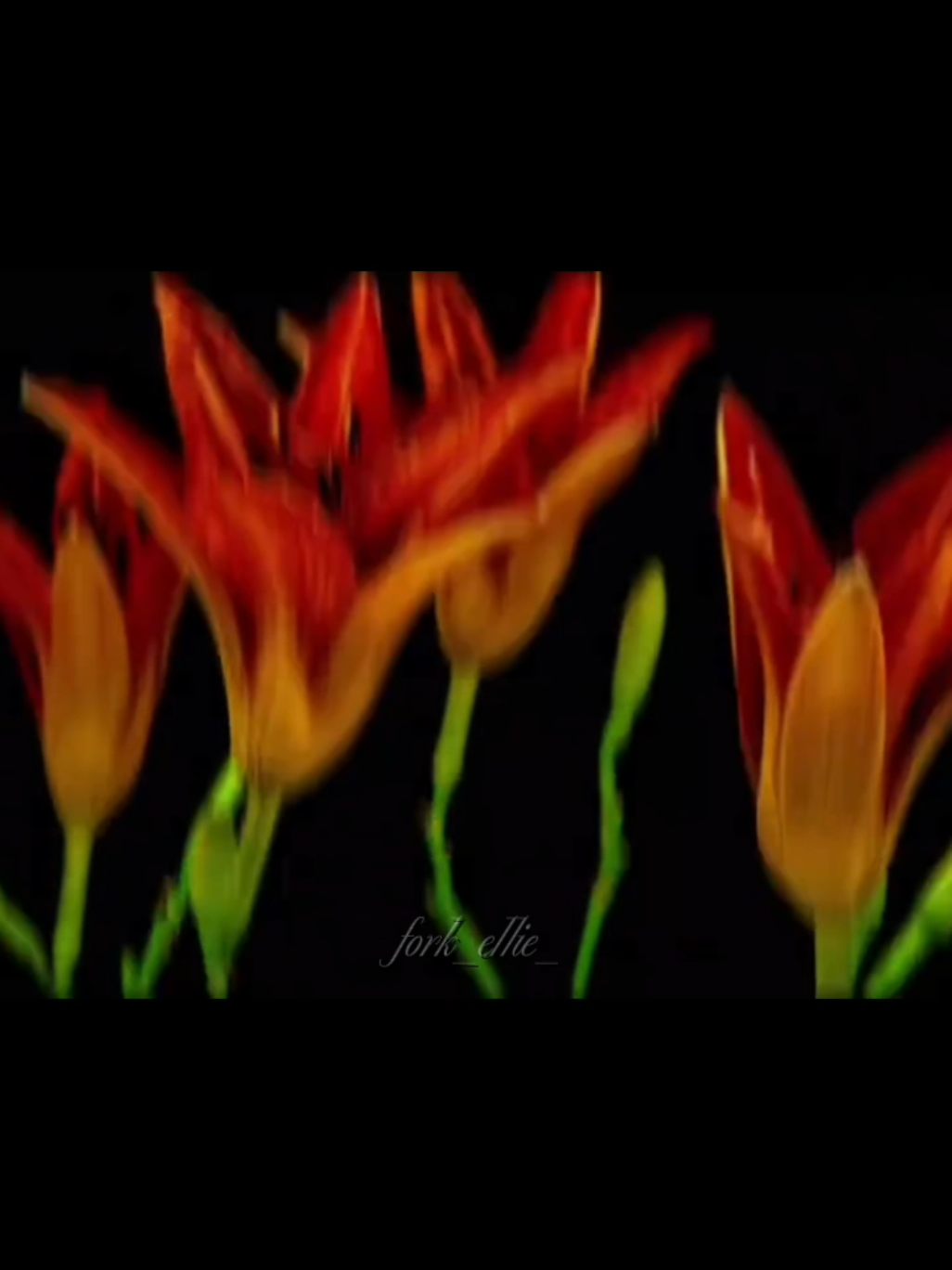 @Элли