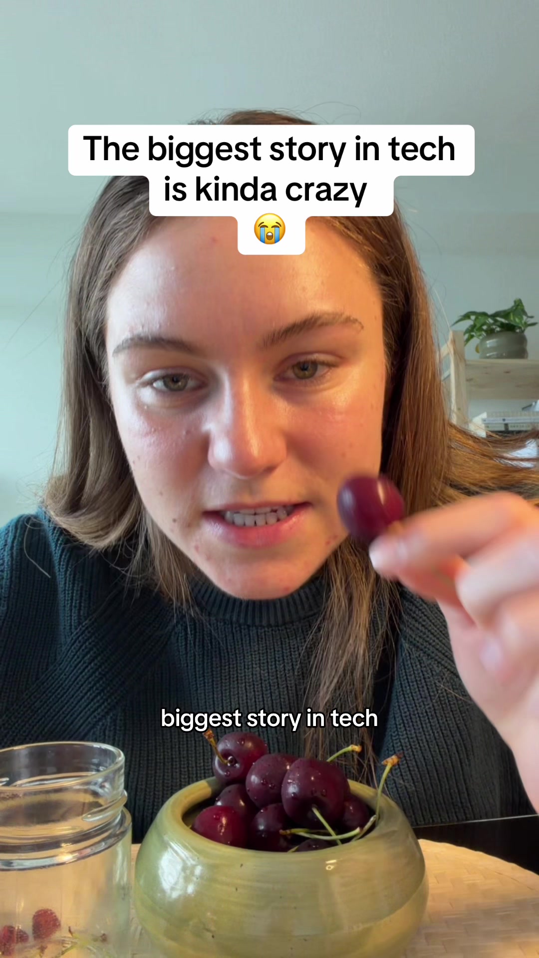 @veesvideodiaryy