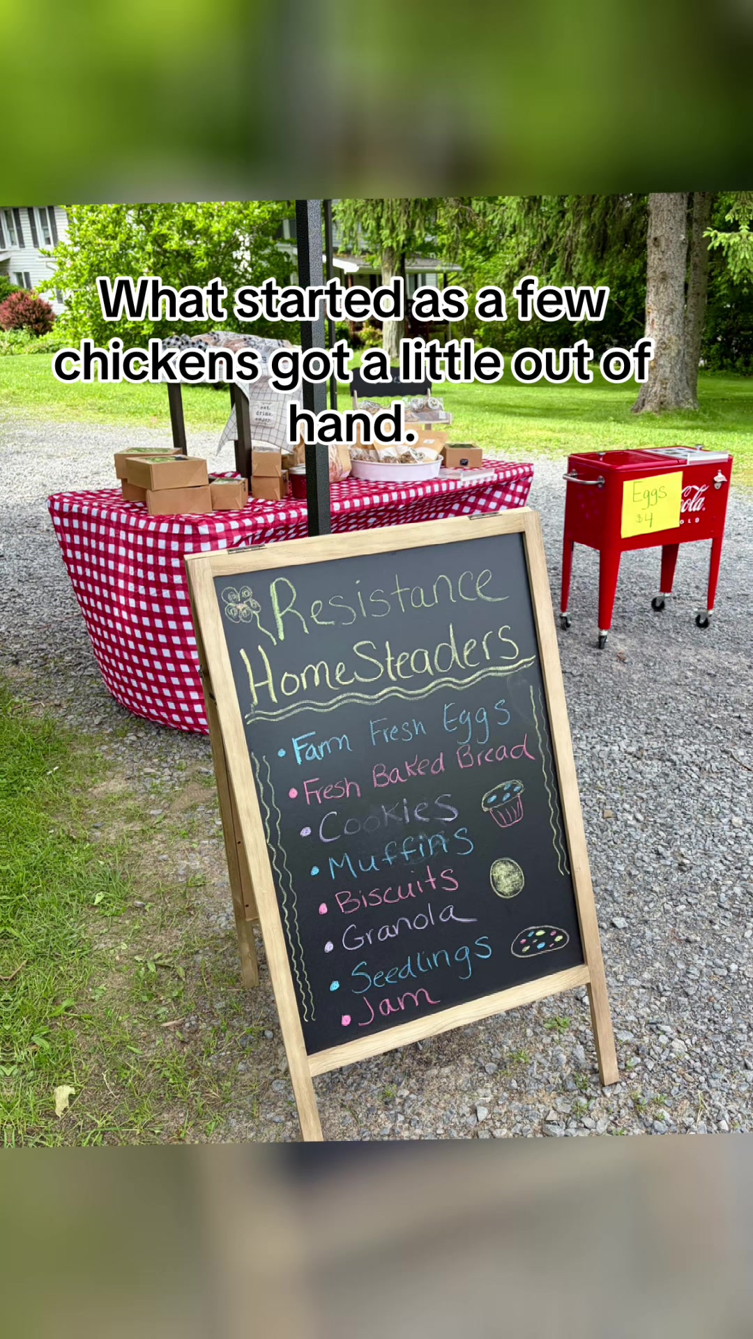 @Resistance Homesteaders