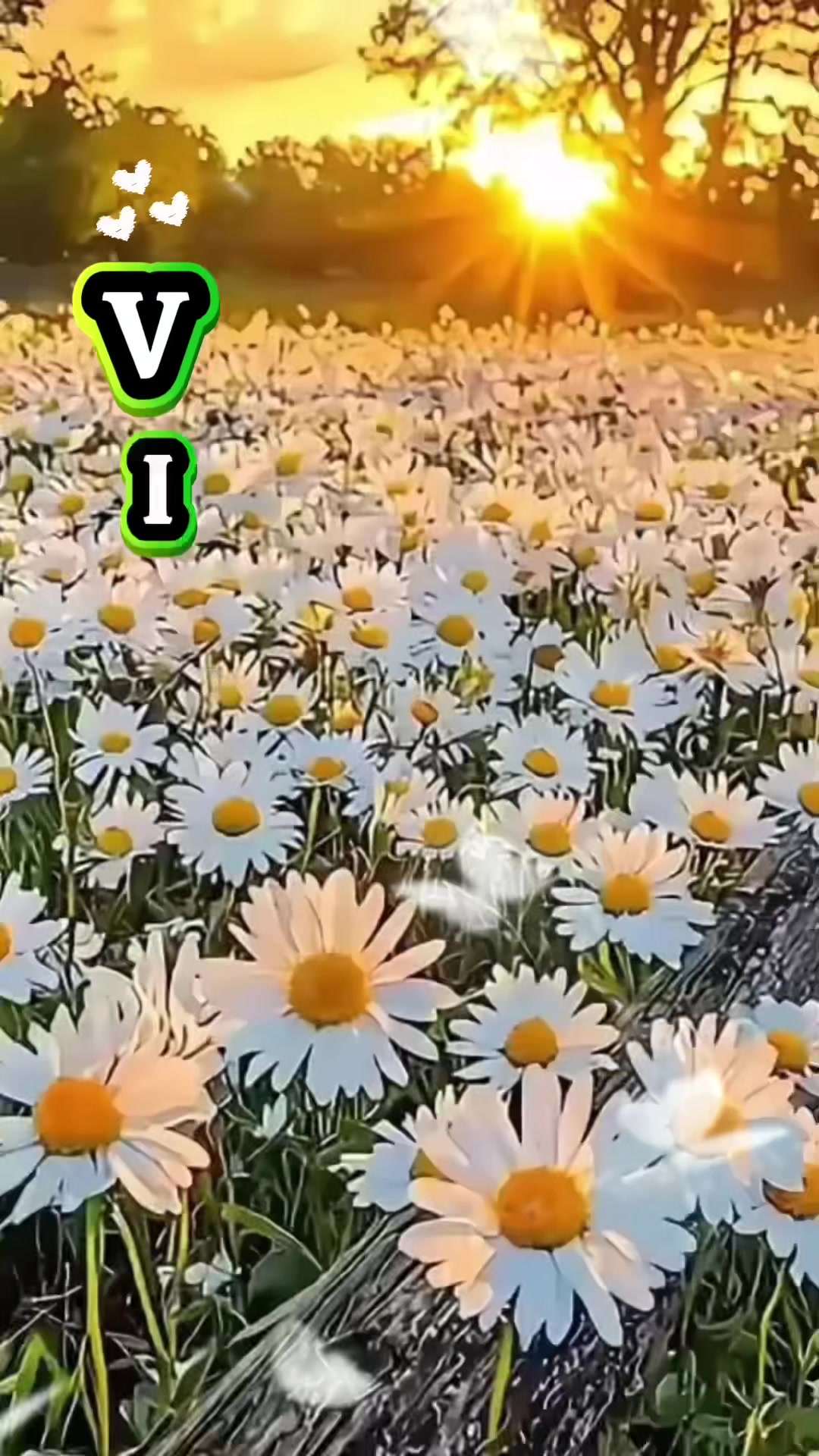 @Rosa