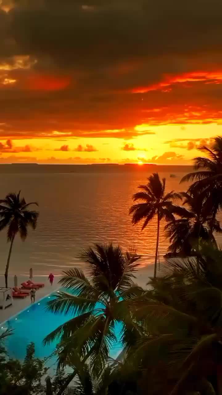 @๐บ๐๐๐๐ โ โฟโ