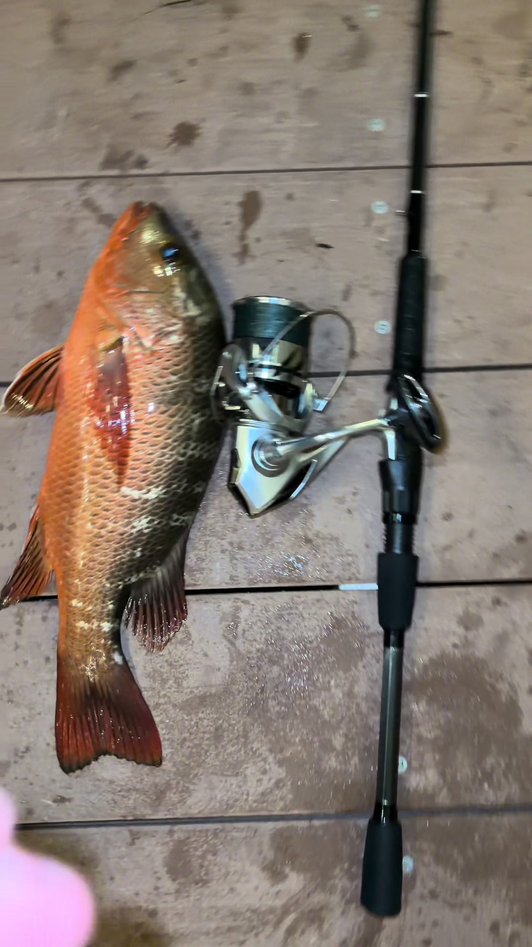 @JoseFishing