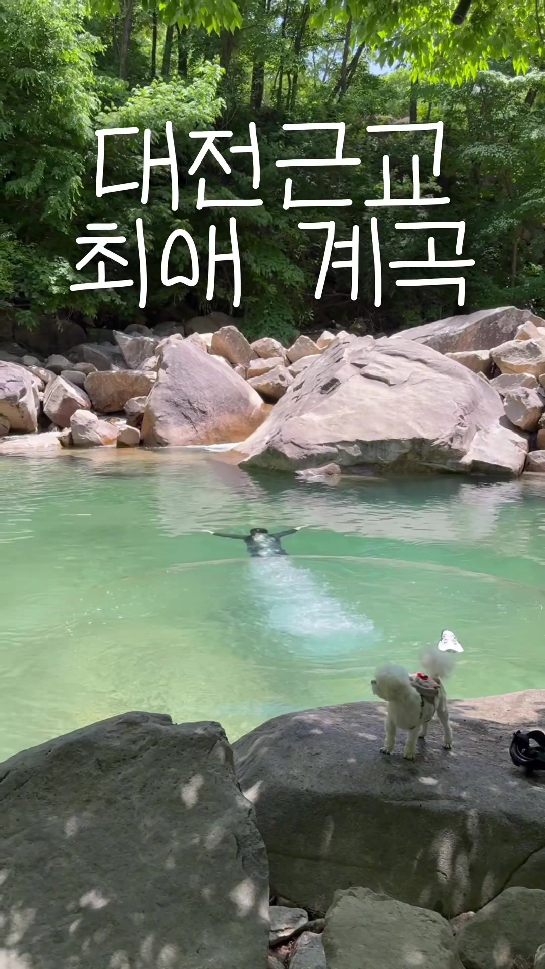 @유맛도리 [대전맛집 충청맛집]