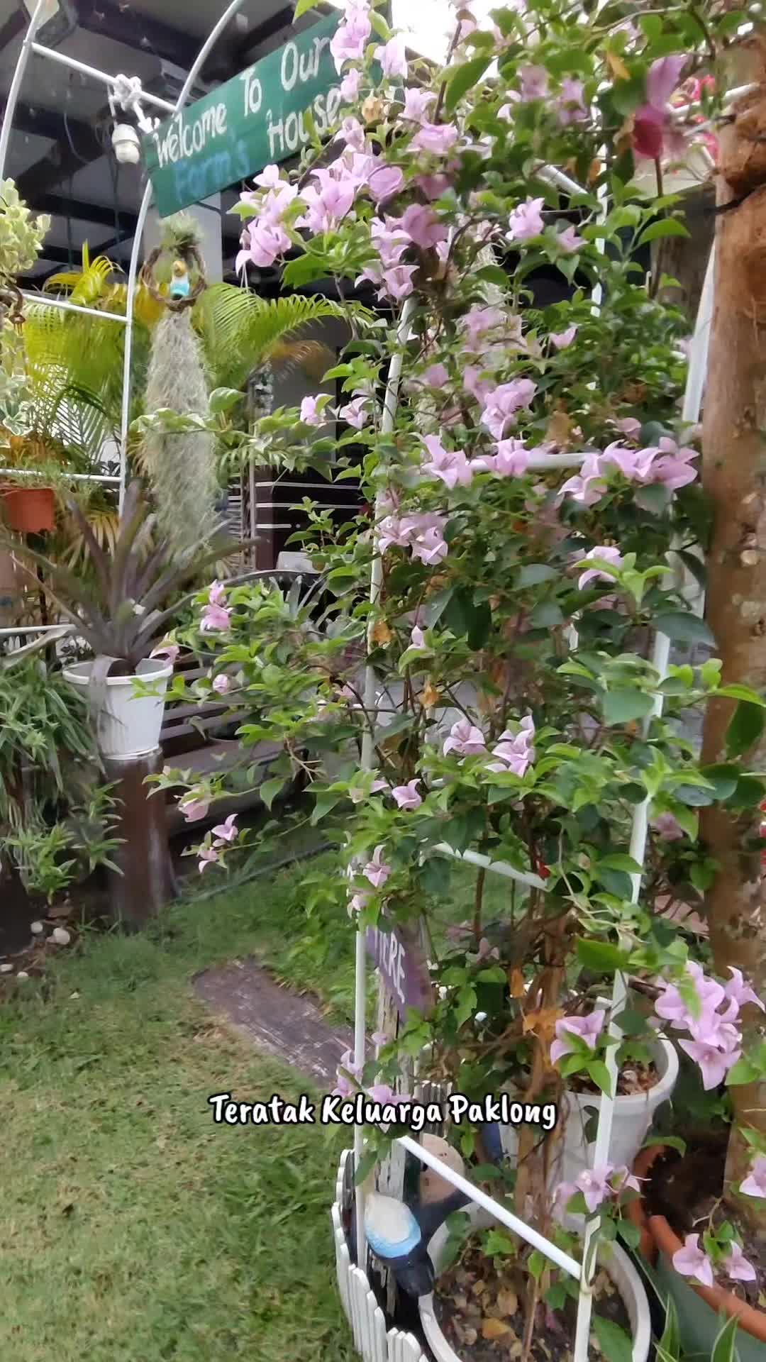 @Teratak Keluarga Paklong