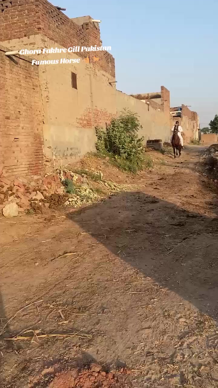 @احمد گل نمبر دار