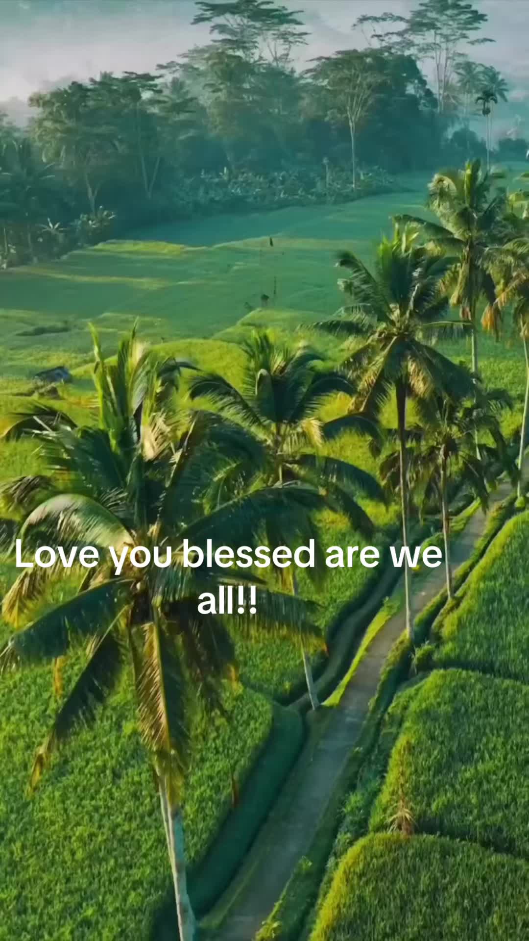 @Heidi Habes