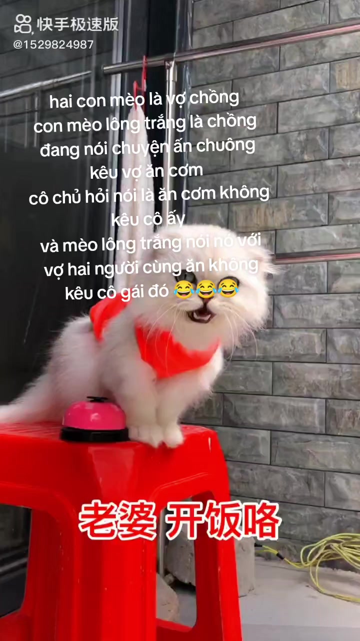 @nhóm tn diệu hạnh bỏ công sức