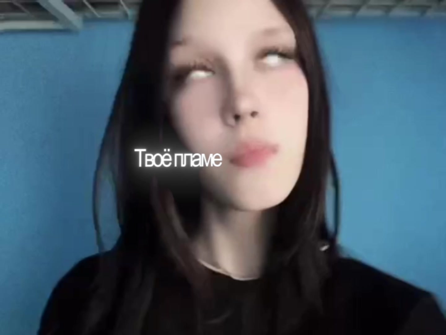 @linkaxzxz🪽