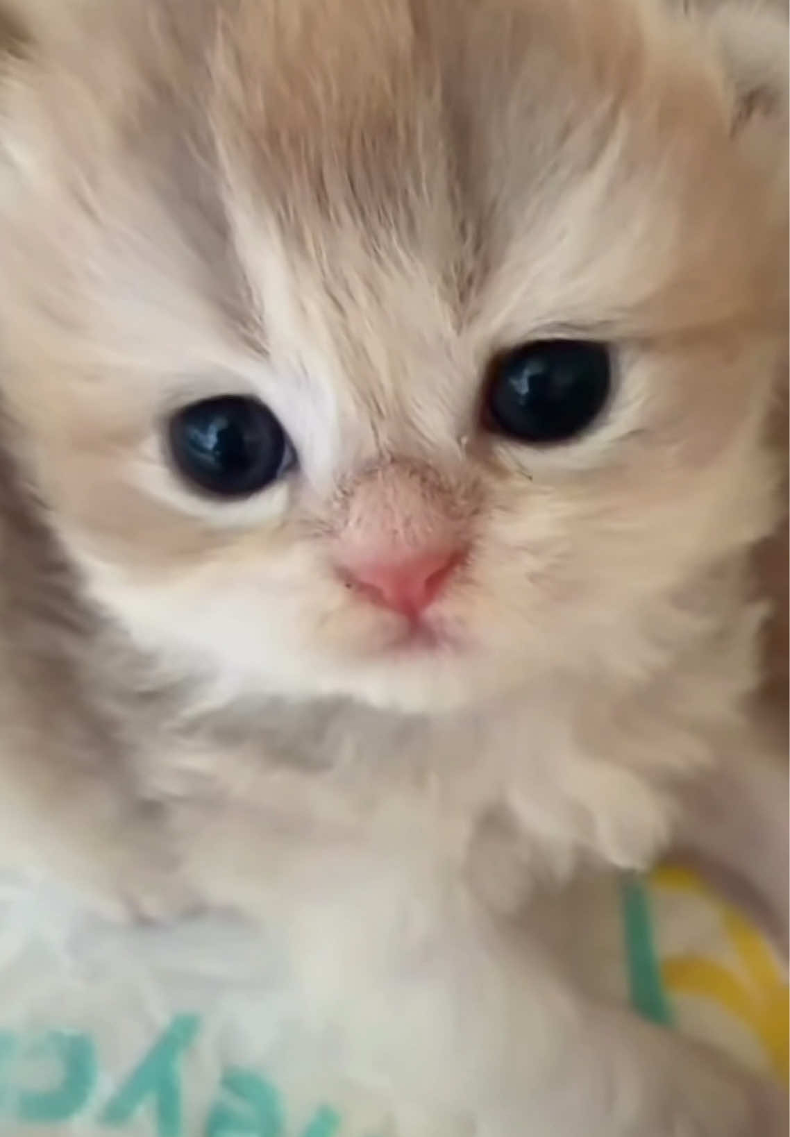 @ViralPick