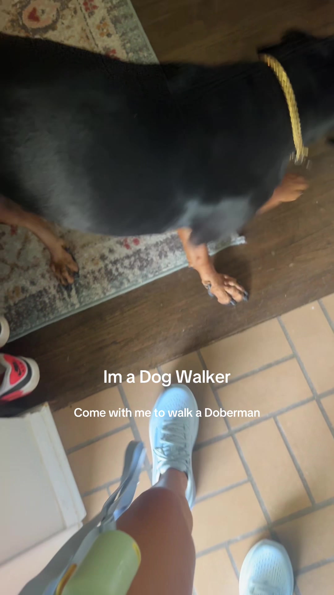 @dallasdogwalker