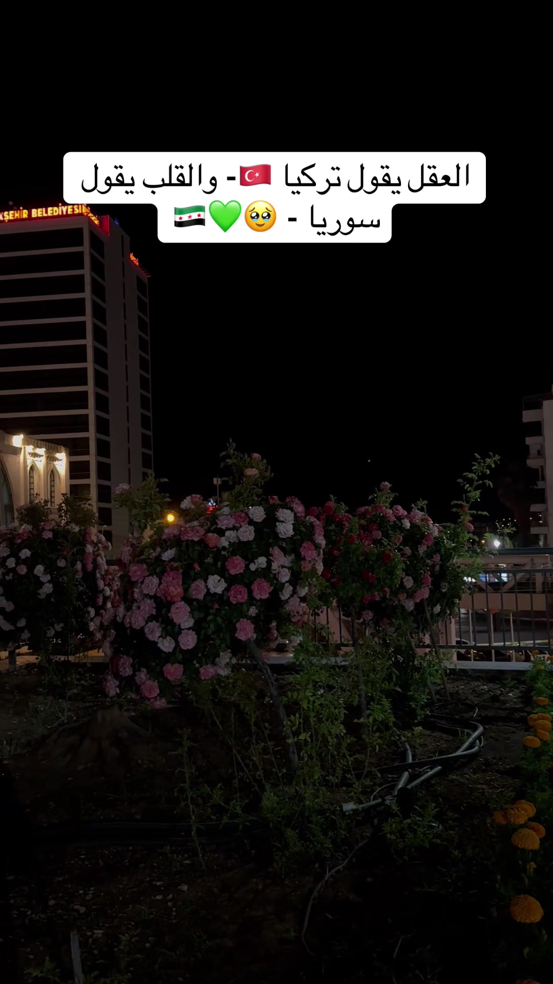 @ْ