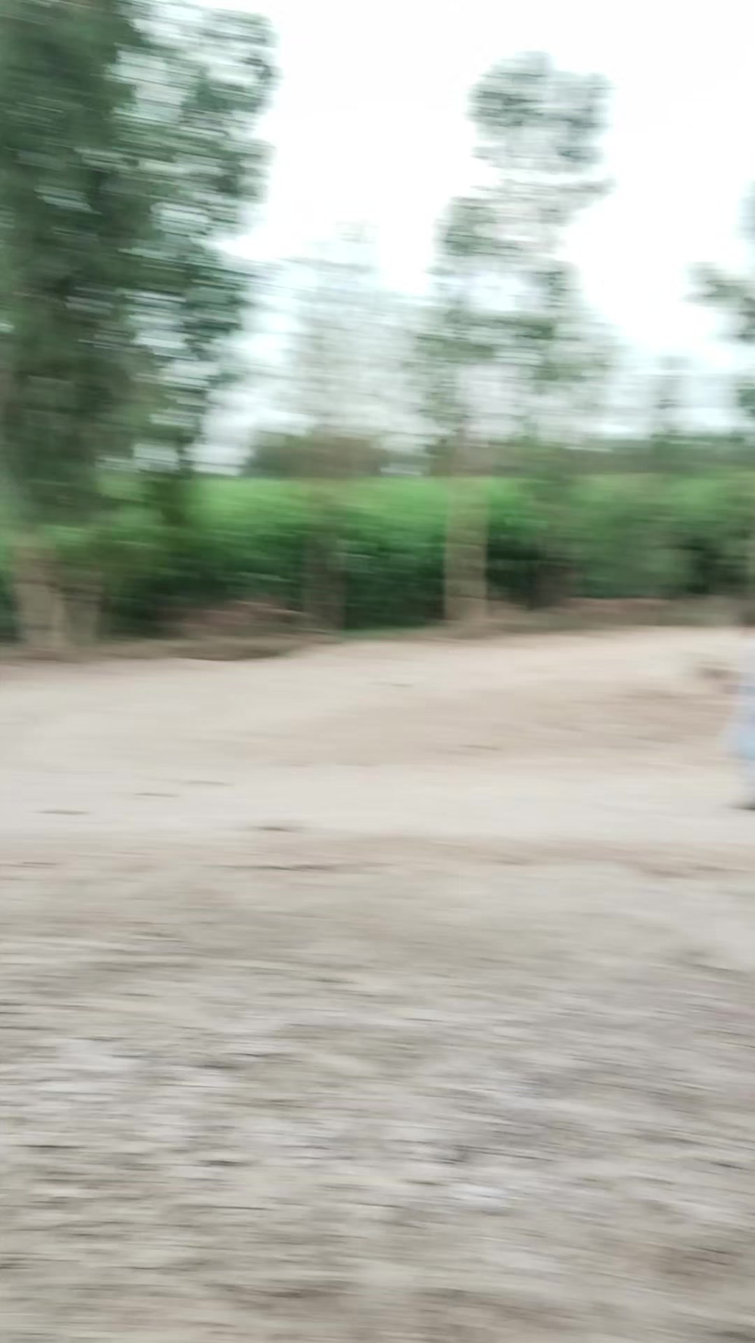 @Mukesh kumar kolhi