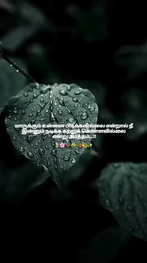 @🌻💛мαмα ρσииυ fσяєνєя🌻💛