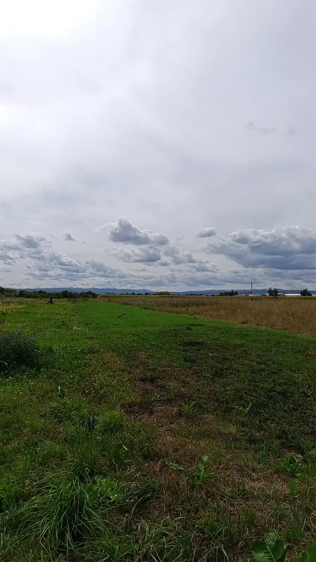 @Софія Яців