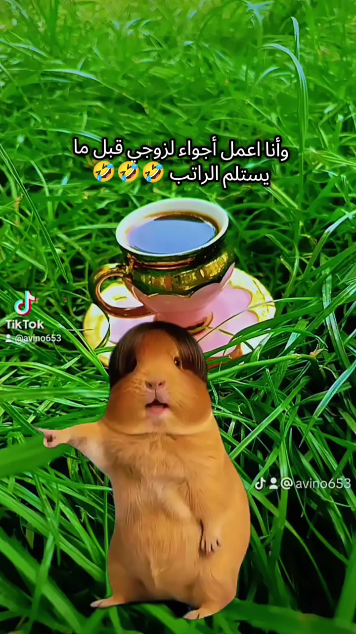 @🪽 ملاك 🪽🦋 𝚏𝚘𝚛𝚎𝚟𝚎𝚛 🦋
