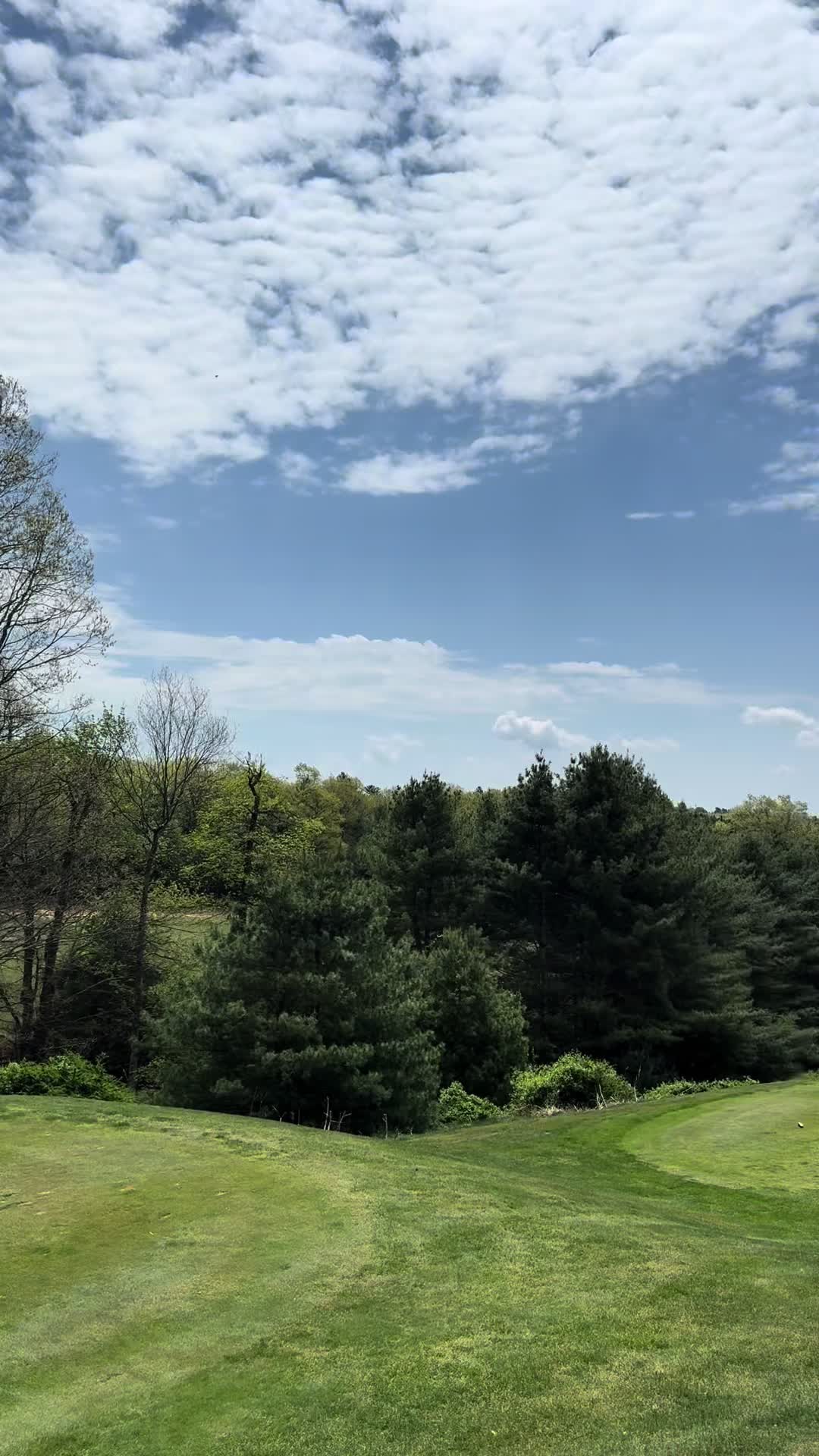 @B S Golf