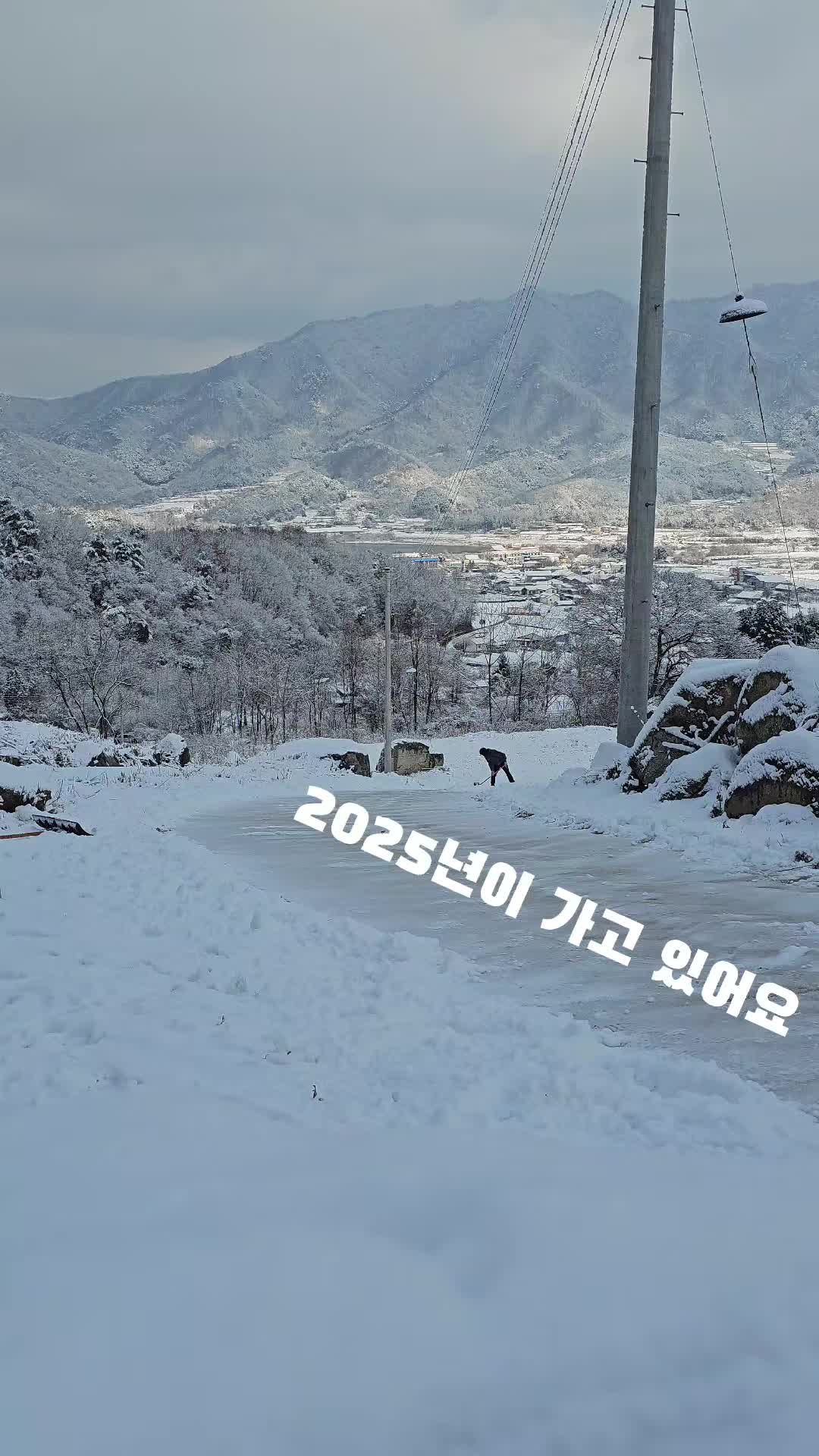 @식물의정석 가든센터