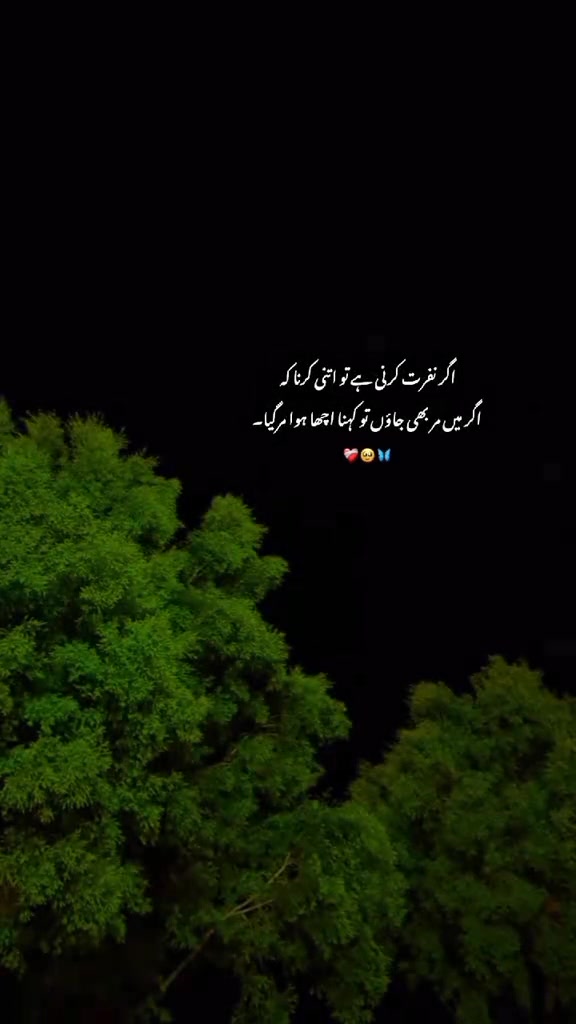 @Tayyab Khan
