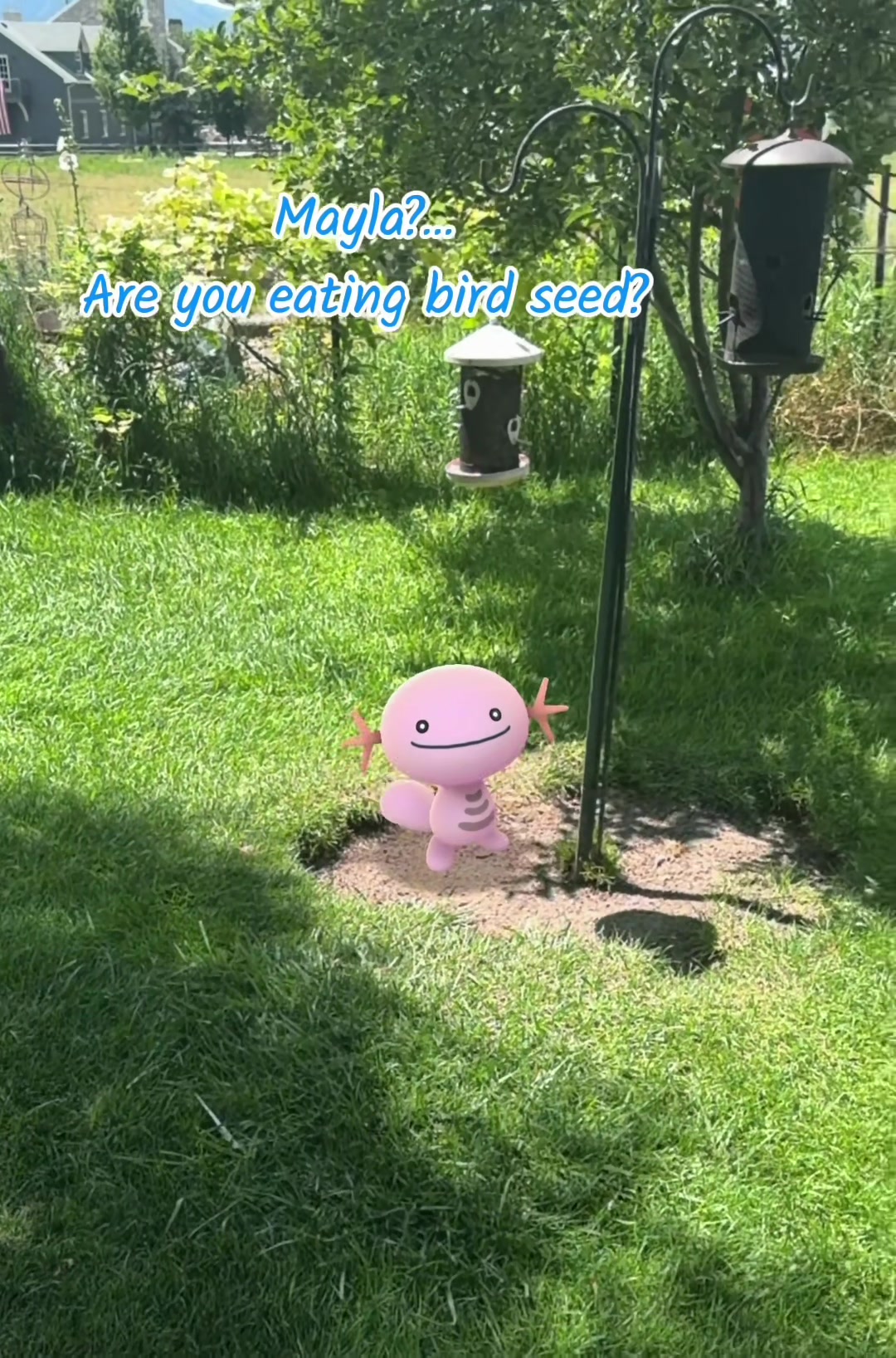 @The Wednesday Wooper