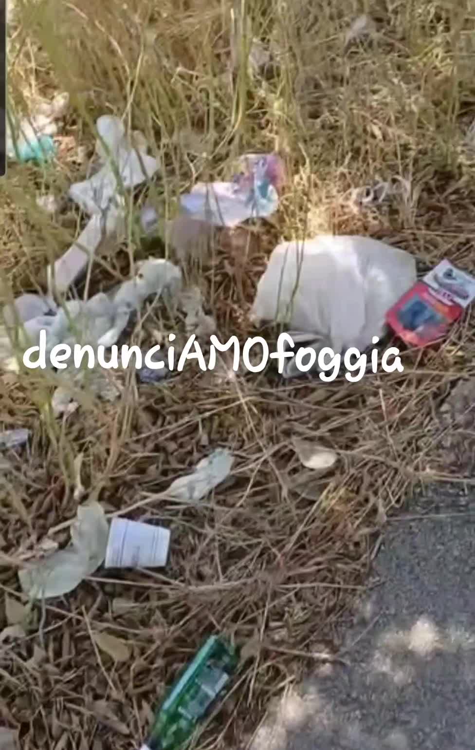 @denunciAMOfoggia