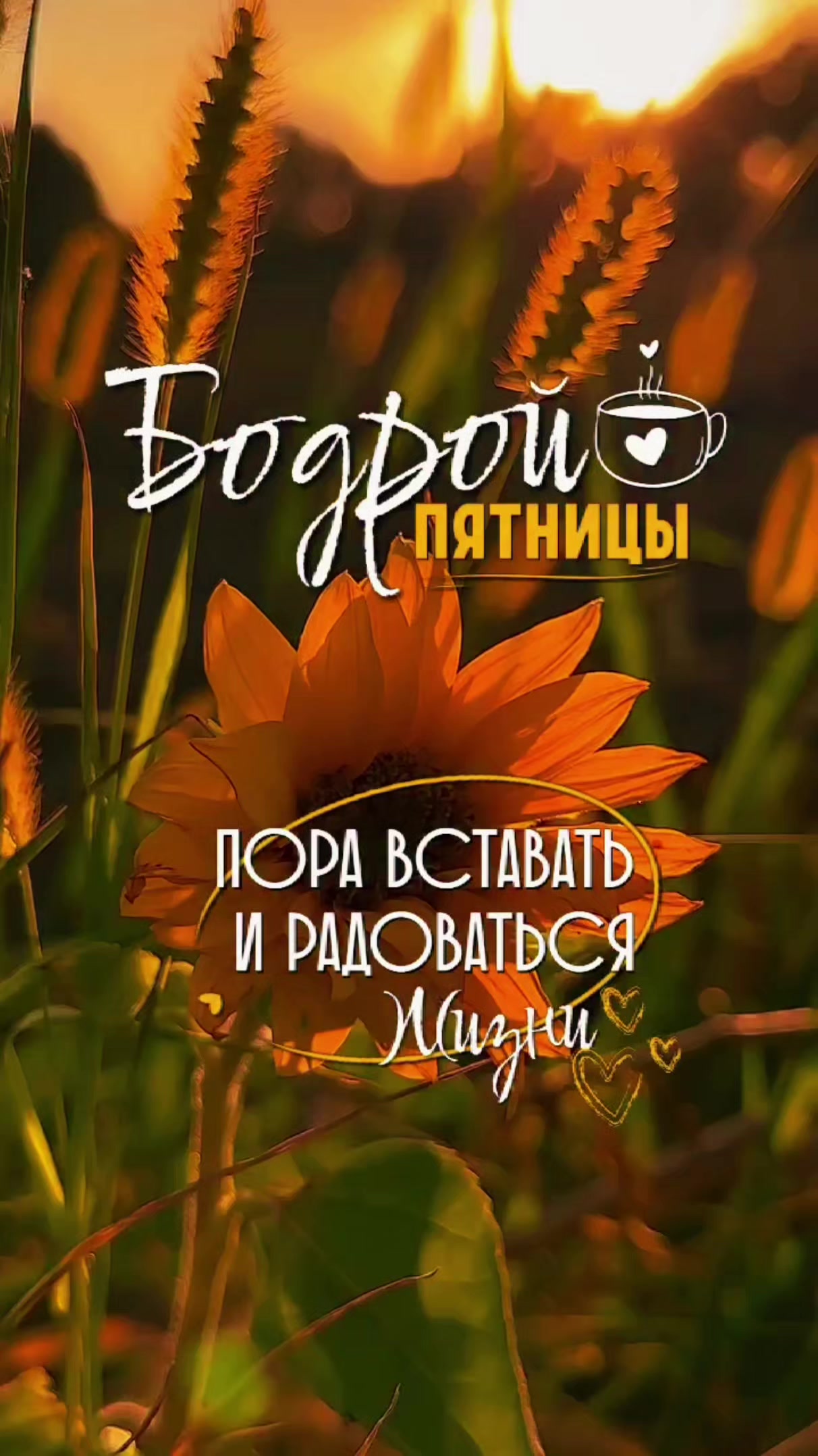 @🇧🇾 Елена 💞💞💞