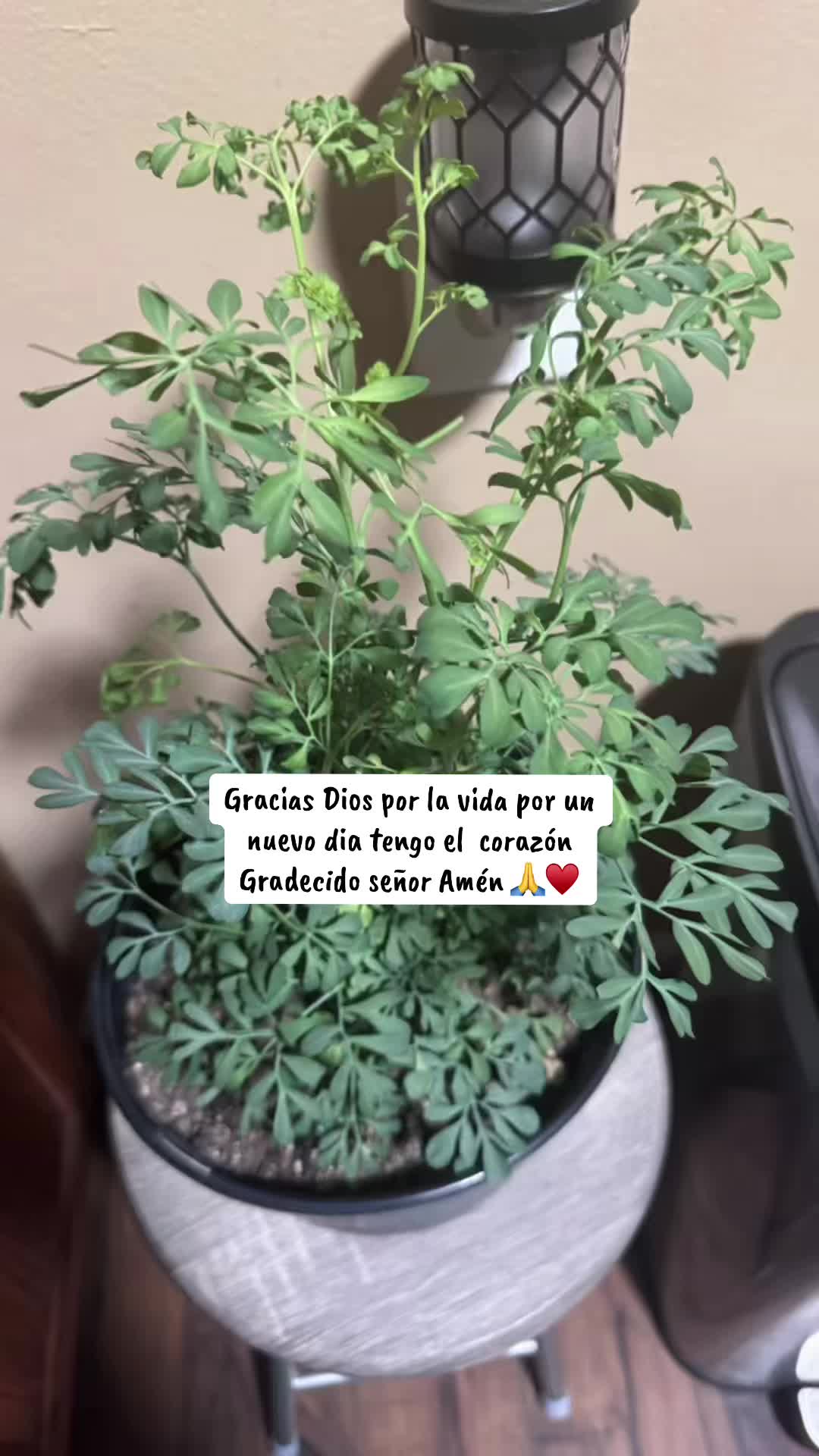 @@TheSisterVibes