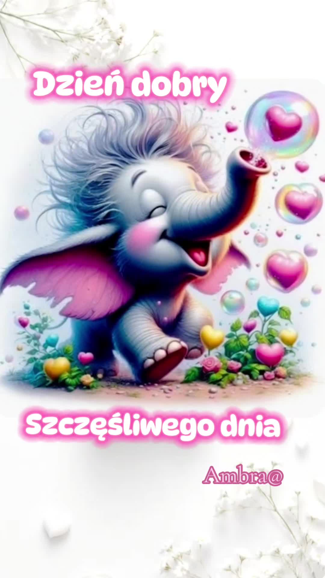 @Ambra@