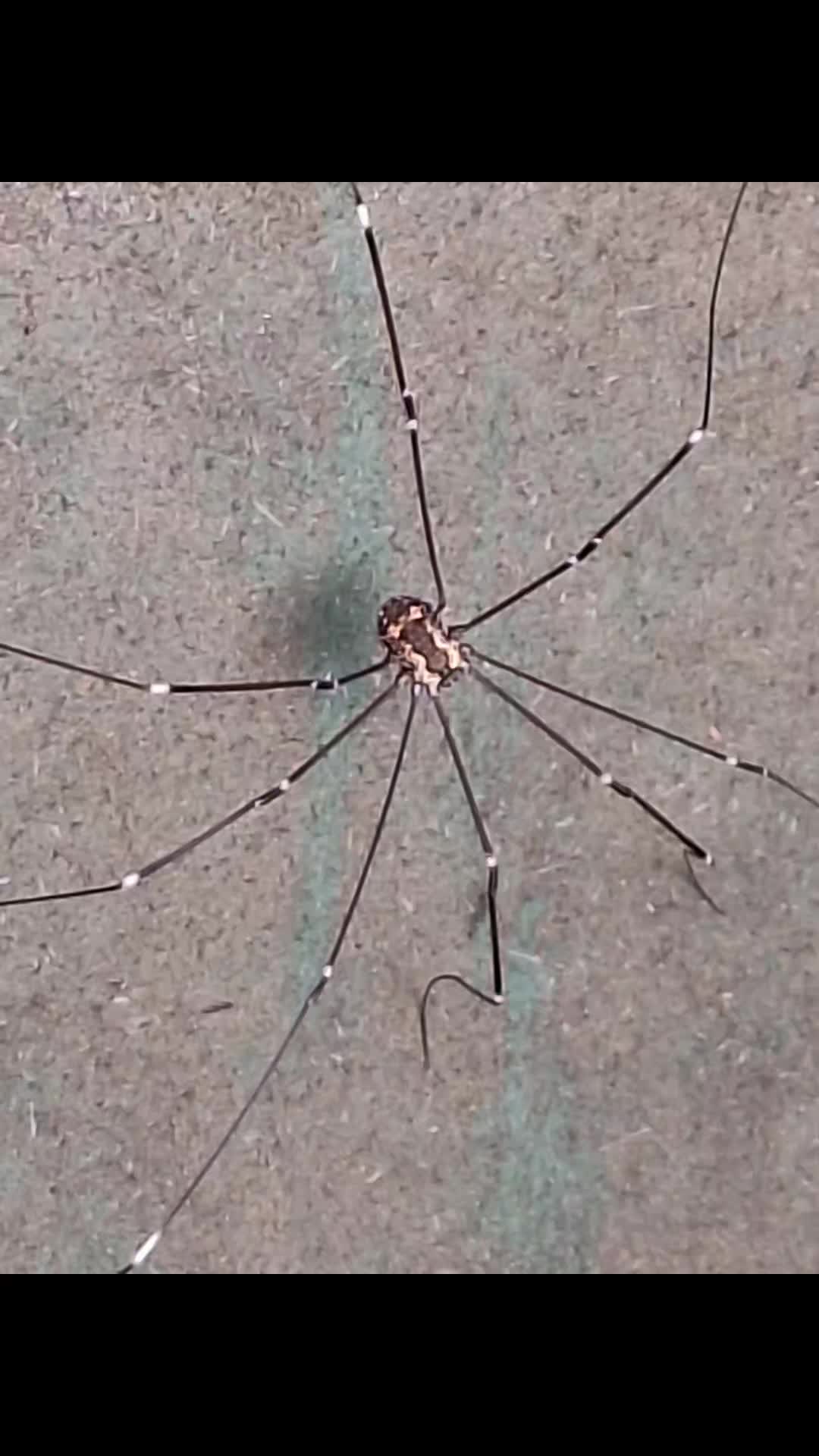 @Natur und Garten