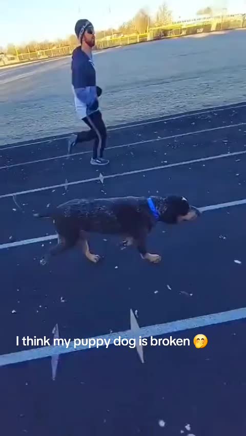 @🤣Vid&eacute;os Dr&ocirc;les.Zzz