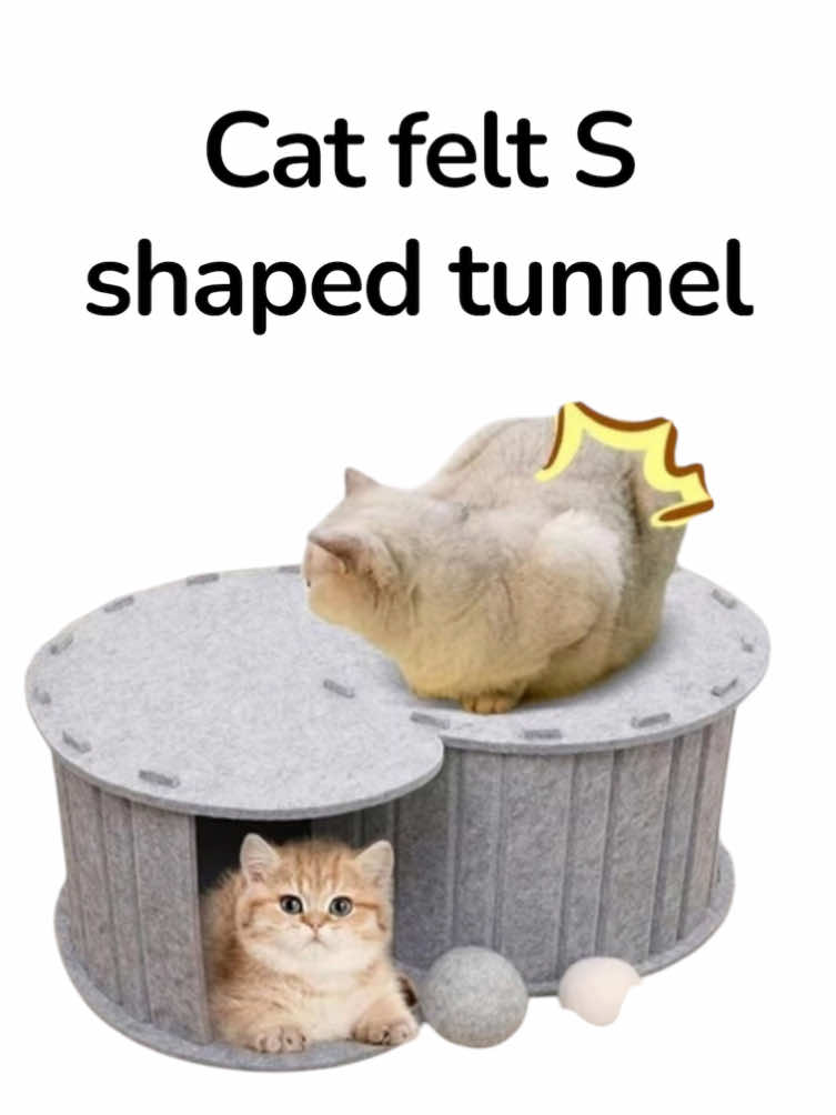 @𝓜𝓼. 𝓚𝓲𝓶𝓶𝔂ᥫ᭡