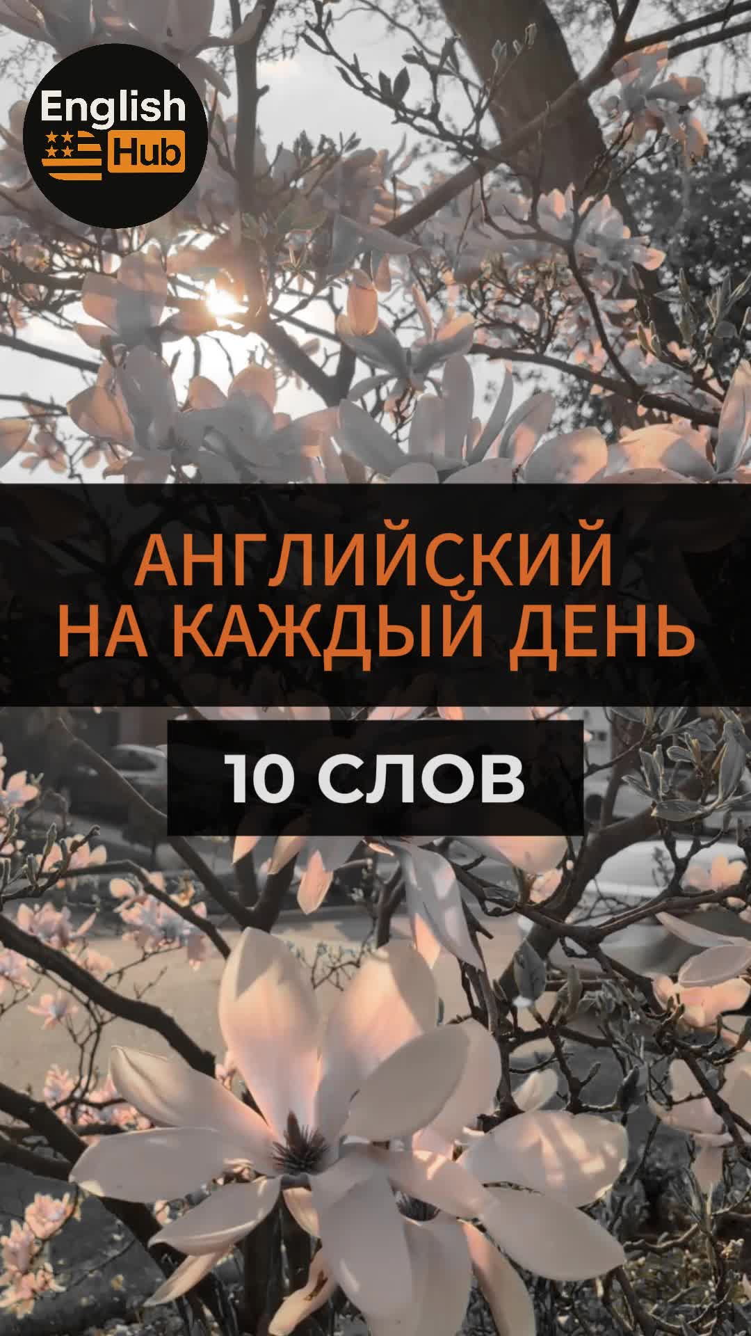 @Языковая Академия Лингмана
