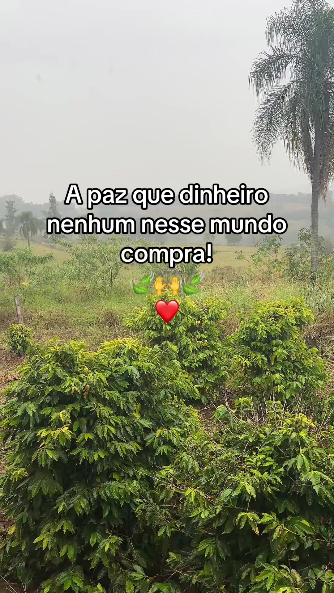 @Adriele Caldeira