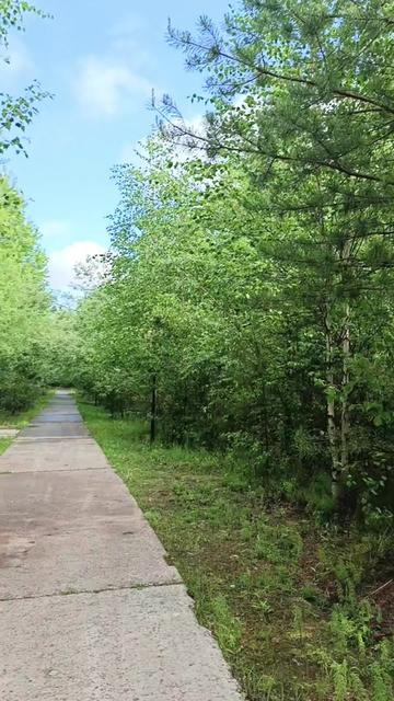 @Наталья Ковалева8238