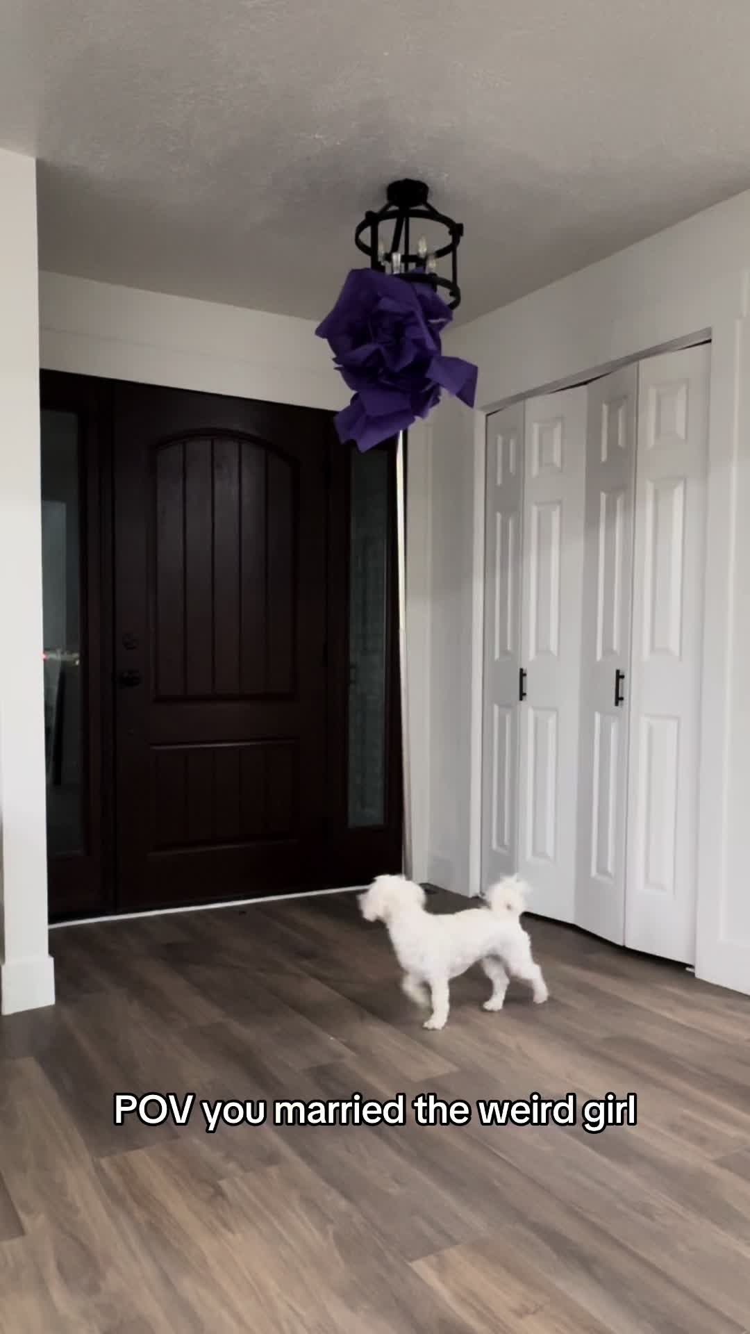 @breywebb