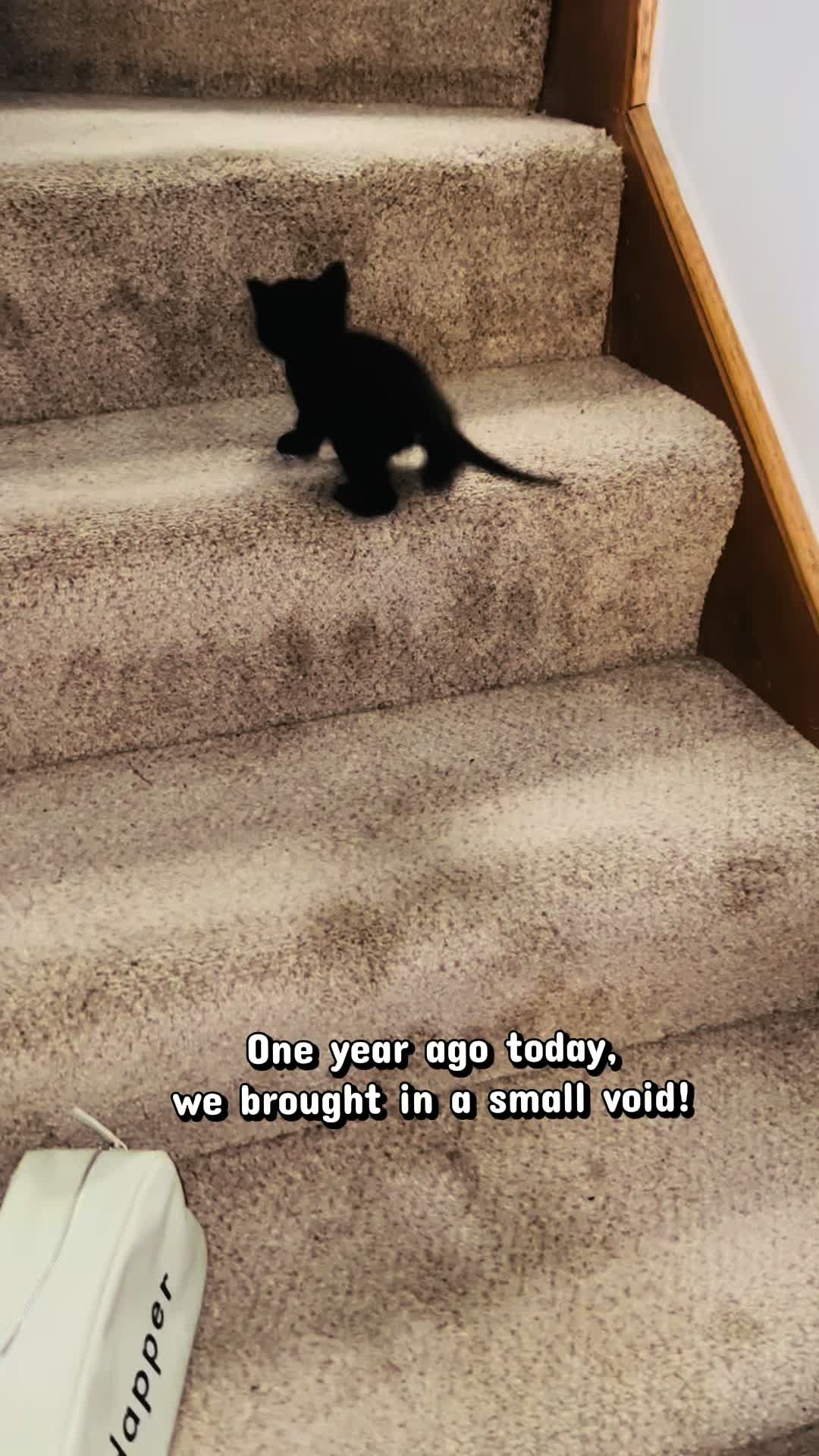 @BoredBookworm 📚✝️