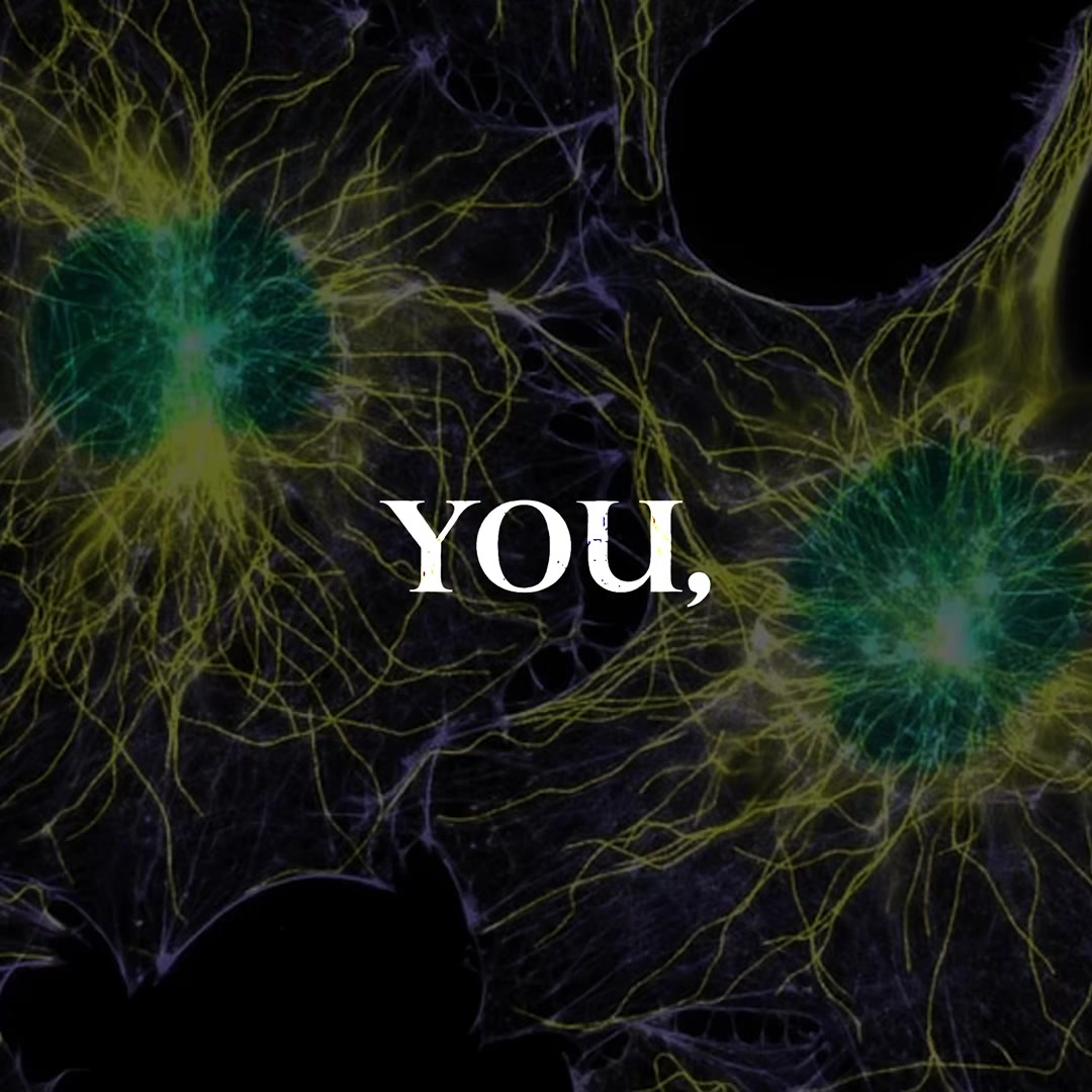 @MindTrace