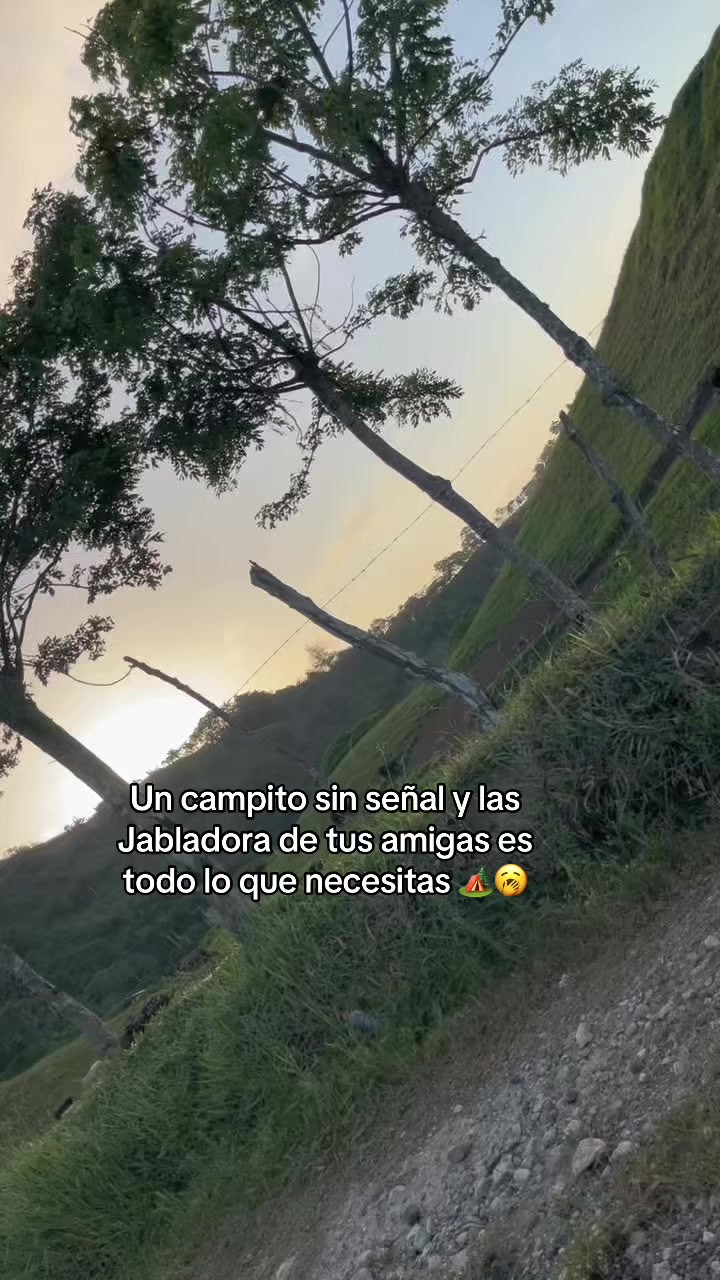 @Carolin ✨🖤