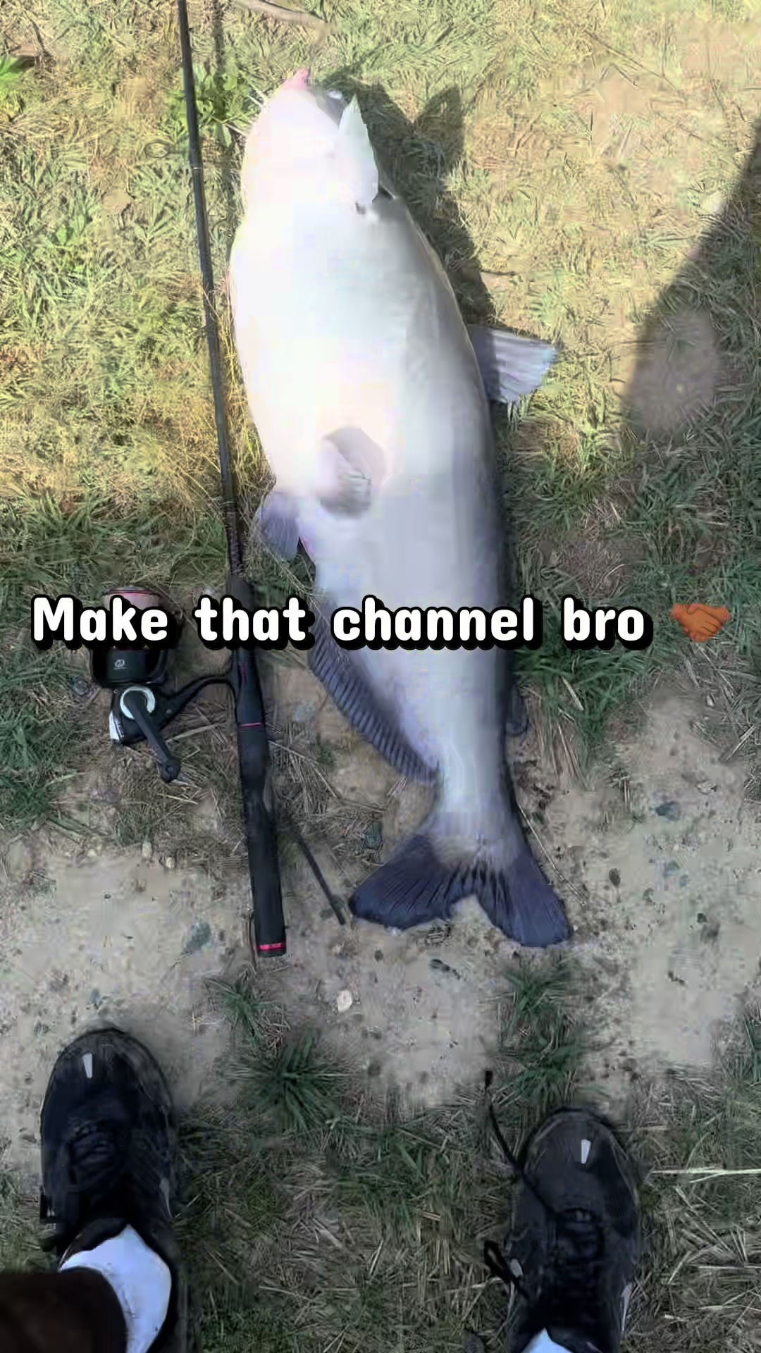 @1Lure