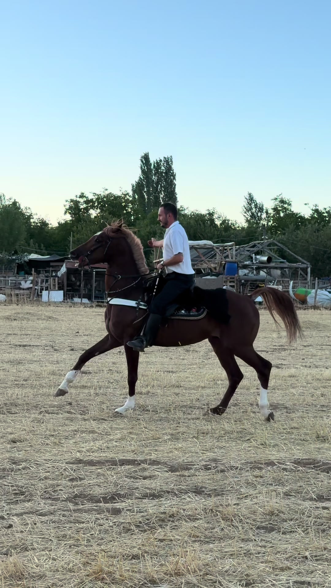 @G&uuml;ray &Ccedil;ay
