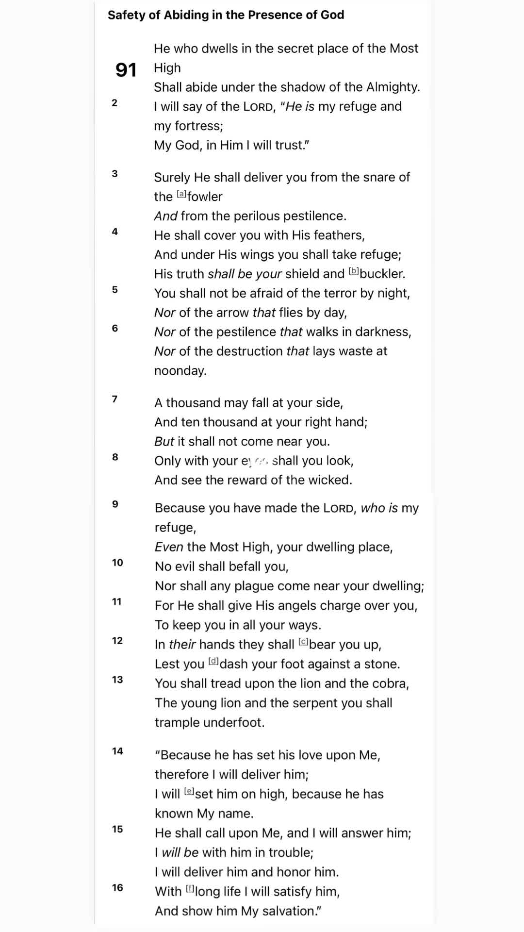 @SajedaLovesTheTorah♥️